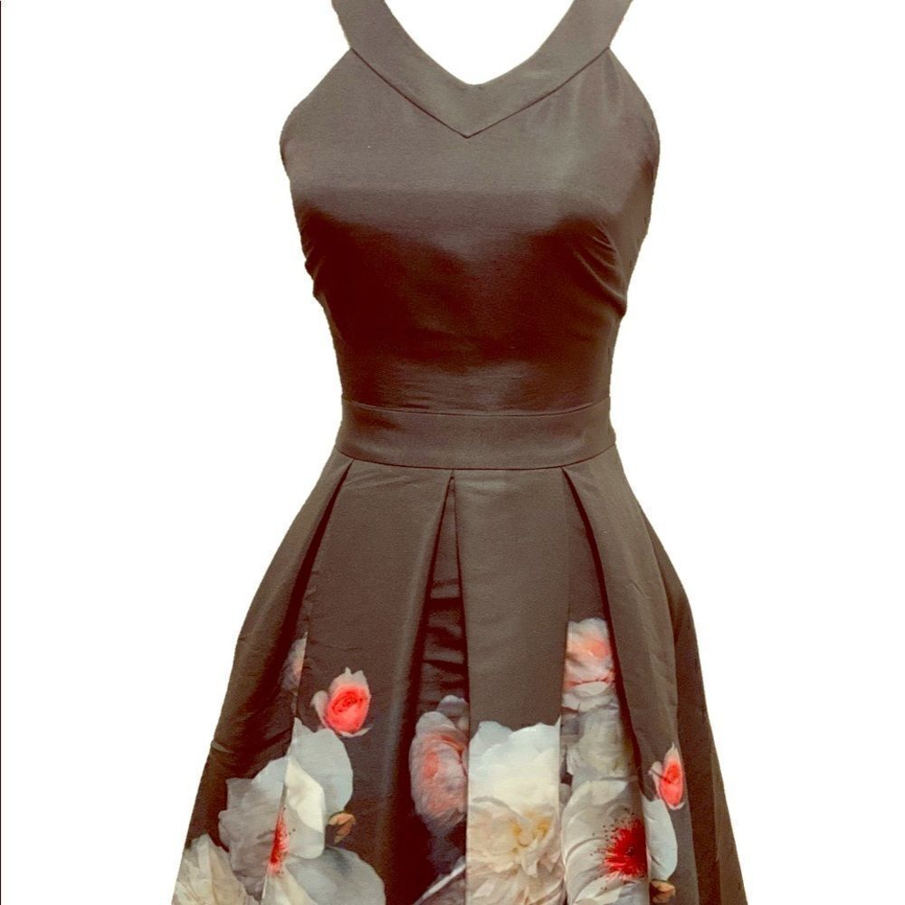 Ted Baker Dress   